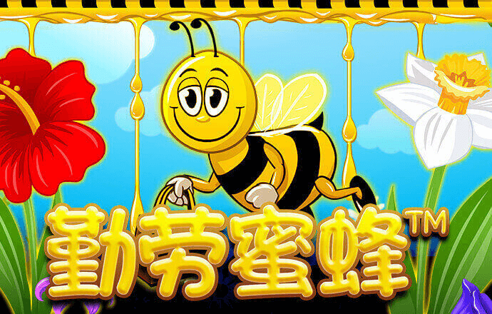 Bsport体育最新版官方入口版